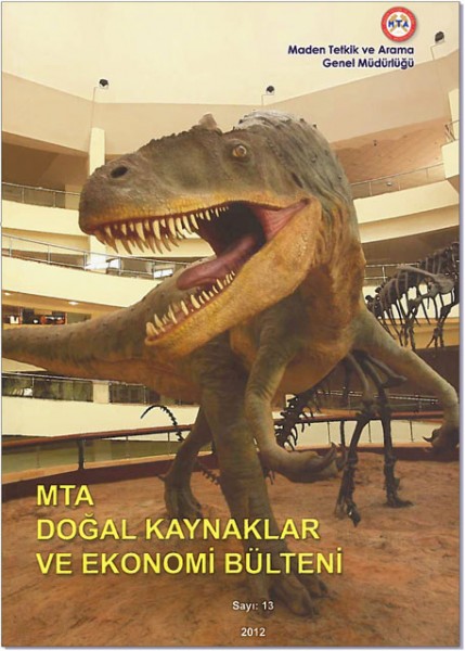 2012 Yılı 13. Sayı