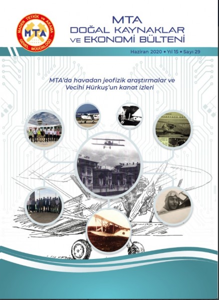 2020 Yılı 29. Sayı