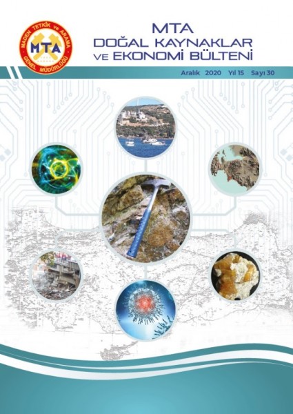 2020 Yılı 30. Sayı