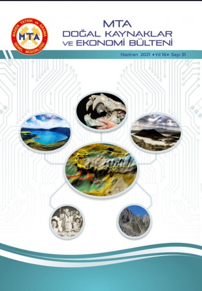 2021 Yılı 31. Sayı