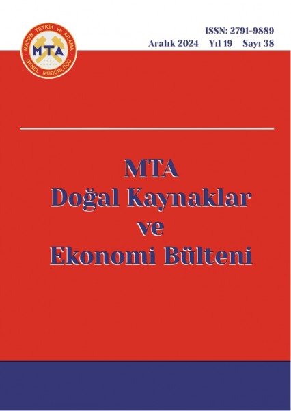 2024 Yılı 38. Sayı